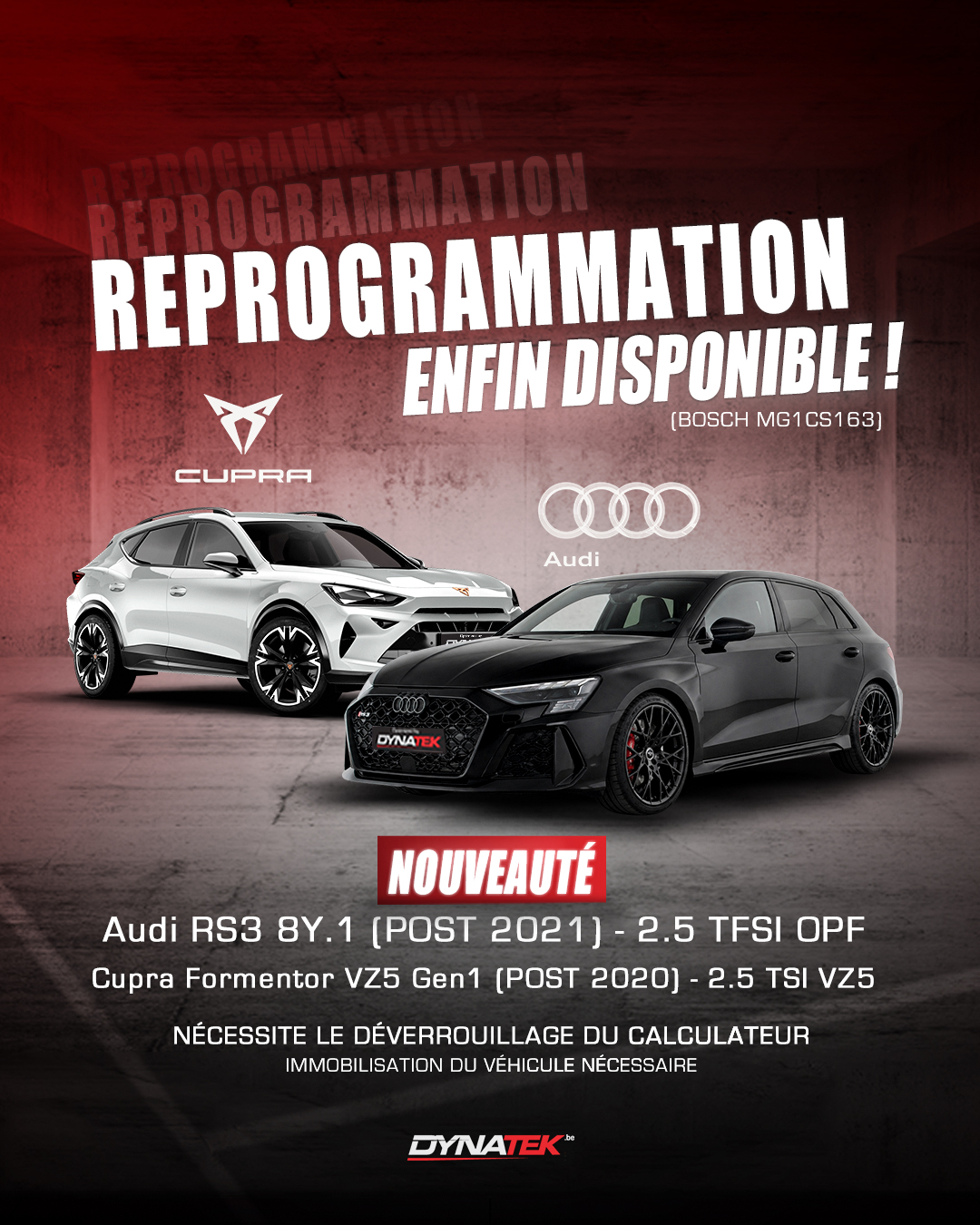 Audi RS3 / Cupra Formentor VZ5 2.5 TFSI (Gen 1) - photo 2